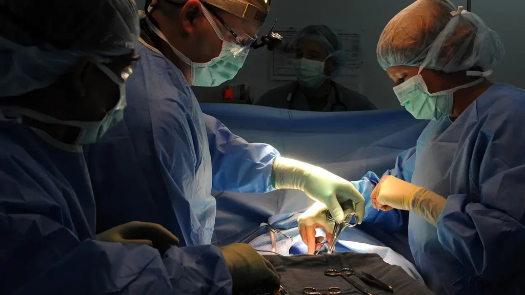 Does Pet Insurance Cover Emergency Surgery? A Realistic Look at Claims