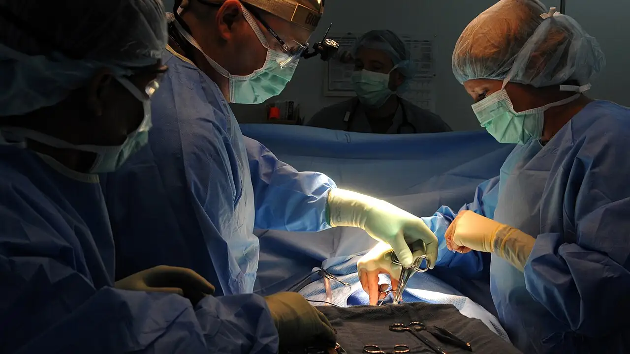 Does Pet Insurance Cover Emergency Surgery? A Realistic Look at Claims