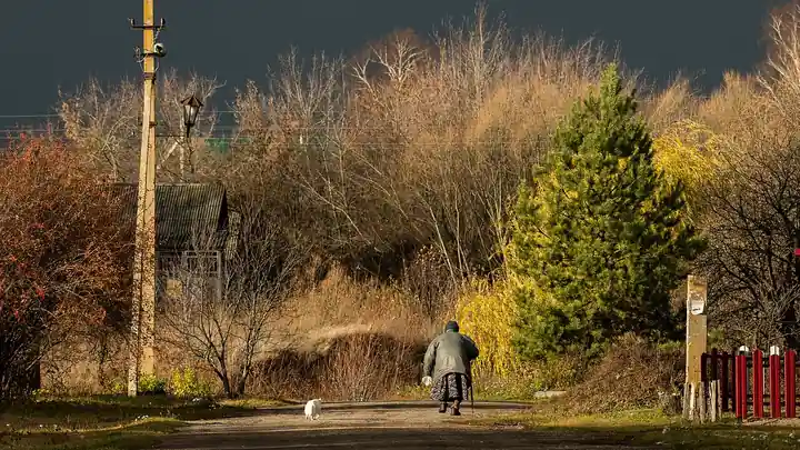 How Much Does Cat Insurance Cost? Monthly Averages by Age