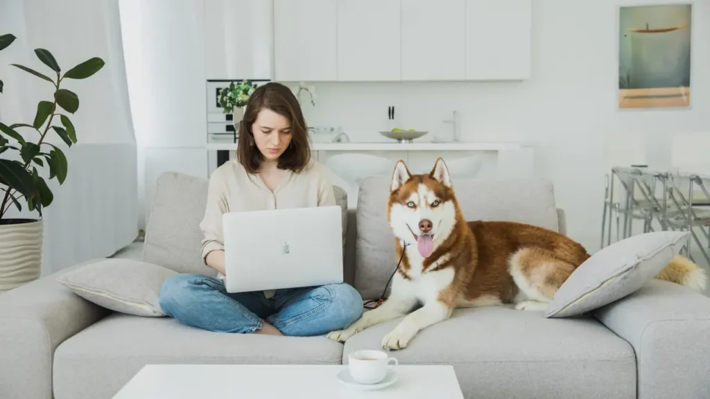 Happy dog and cat with their owner choosing pet insurance
