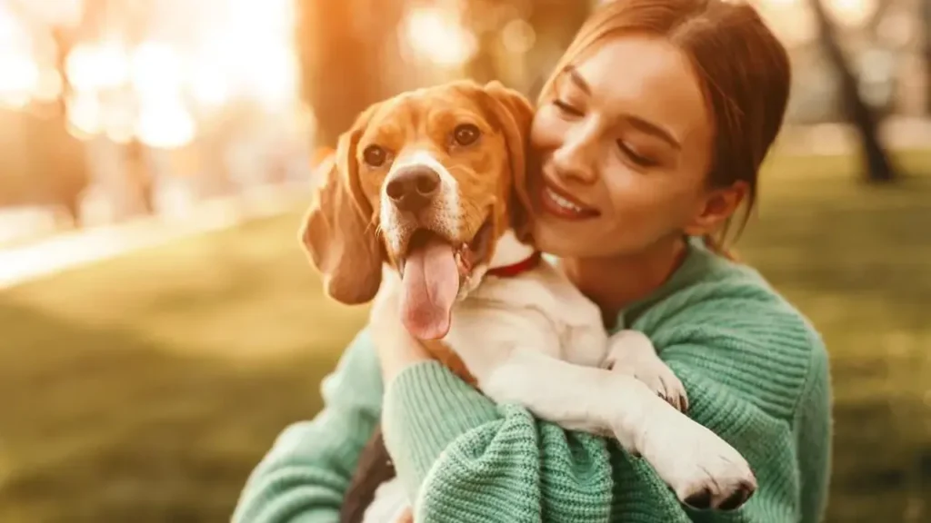 Dog with a piggy bank representing pet insurance discounts